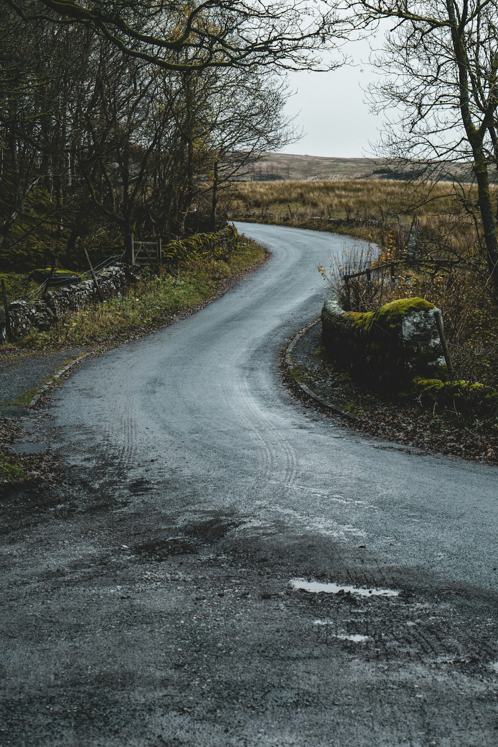 gray concrete road between green grass and trees during daytime