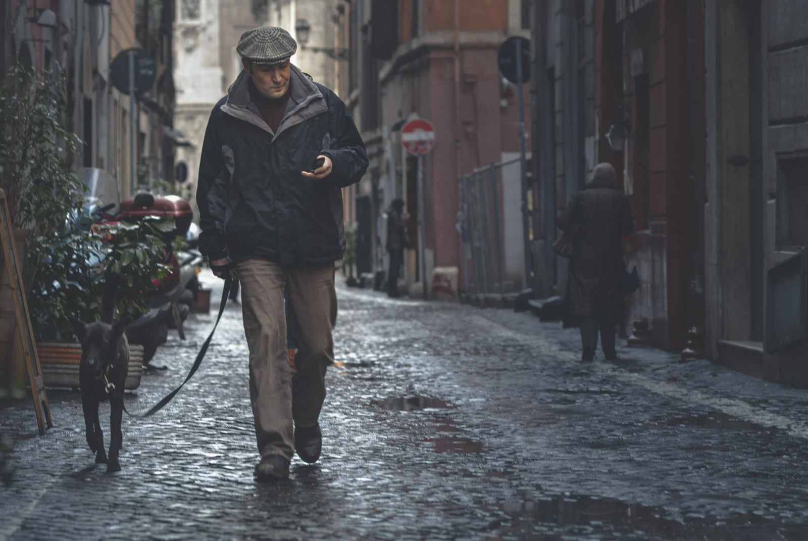 A person walking a leashed dog along a wet, rain-slicked street