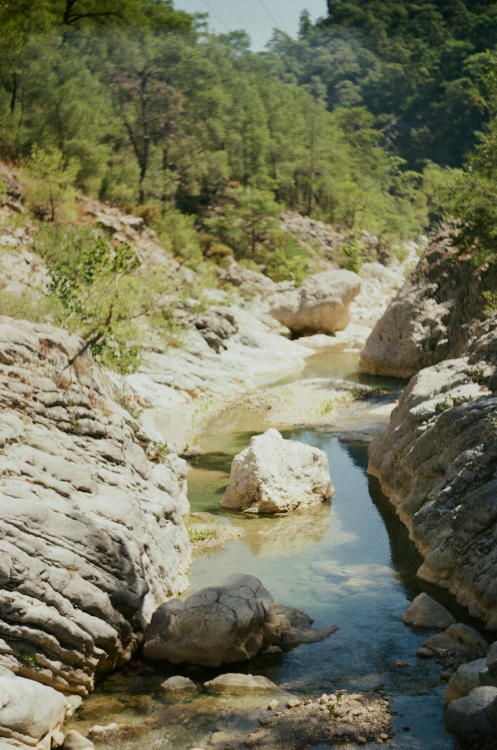 gray rocky river with green moss and gray rocks