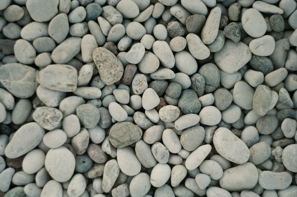 brown and gray stones on gray concrete ground