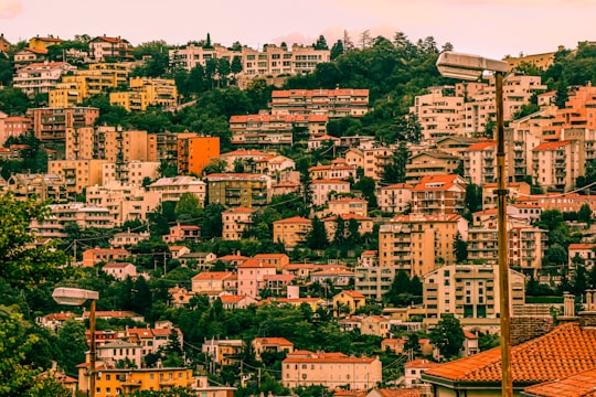 aerial view of city buildings during daytime in Trieste Italy