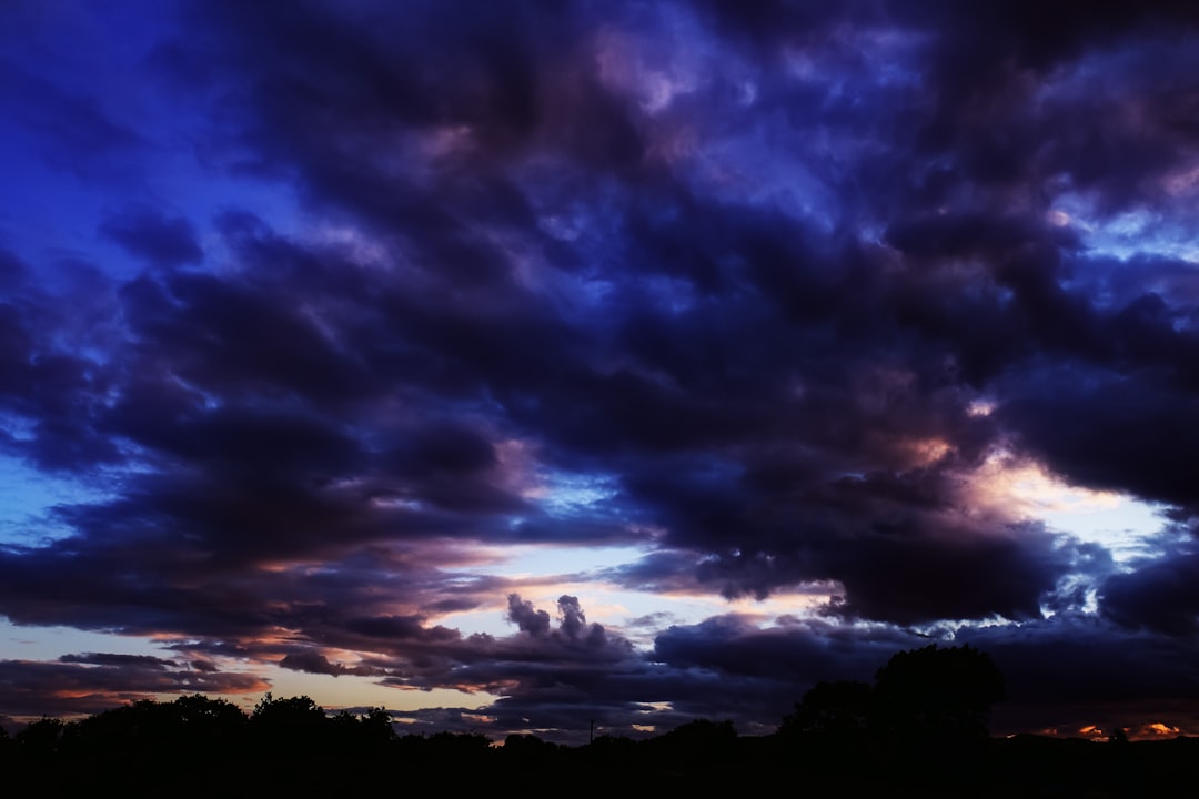 silhouette of trees under cloudy sky during daytime