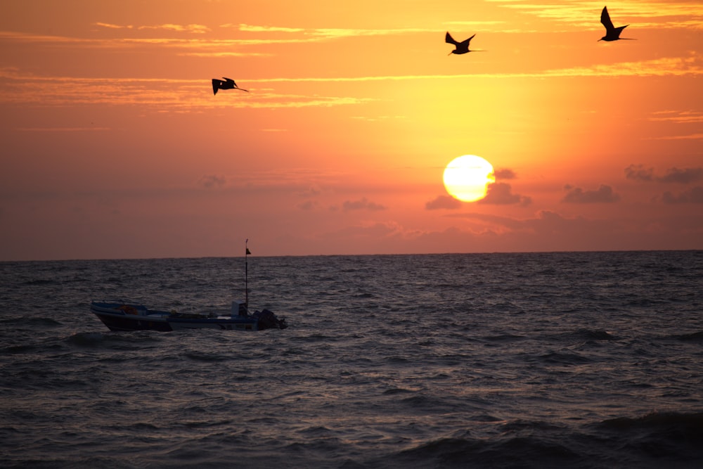 silhouette of bird flying over the sea during sunset