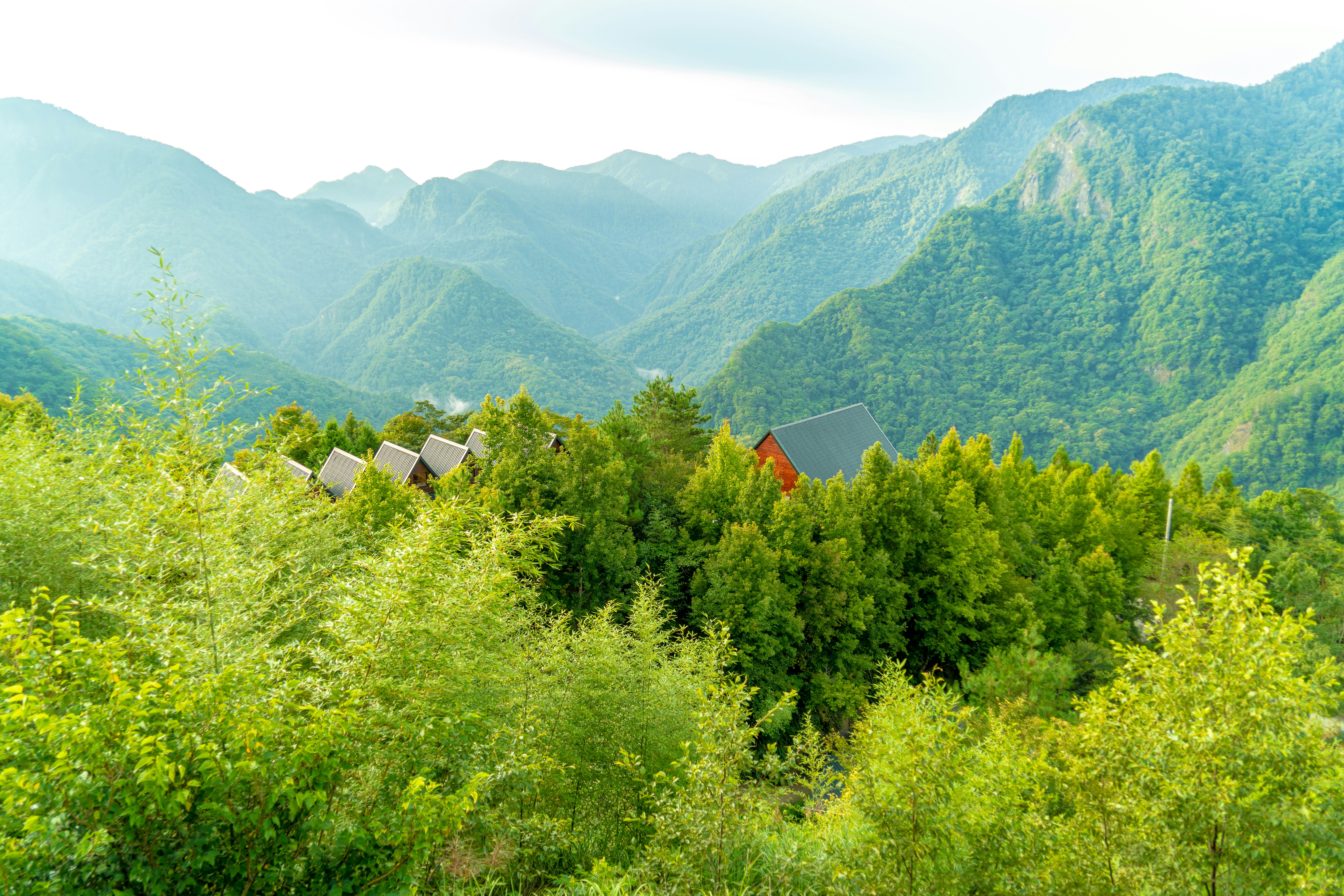 Photo by winstonchen