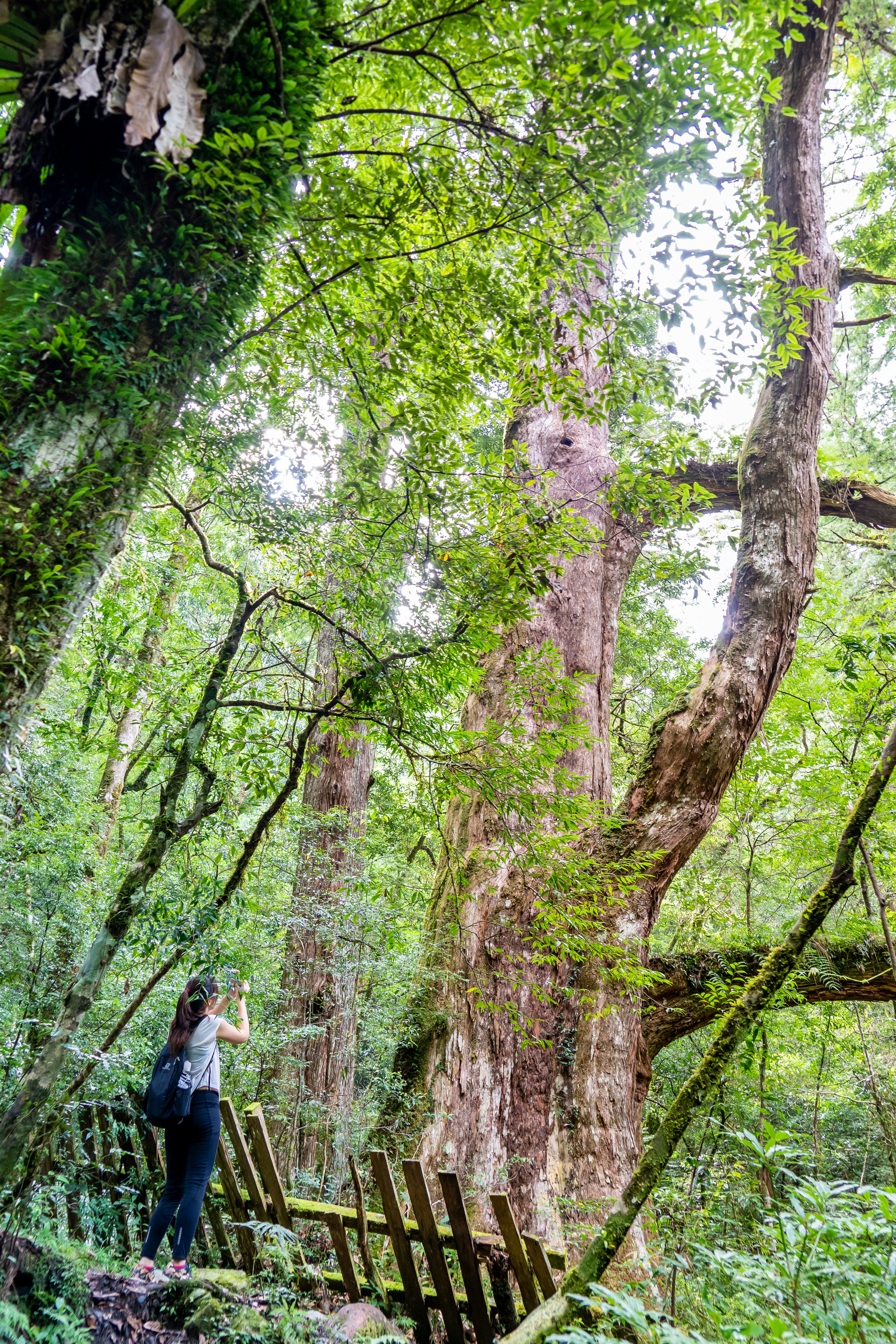 Photo by winstonchen