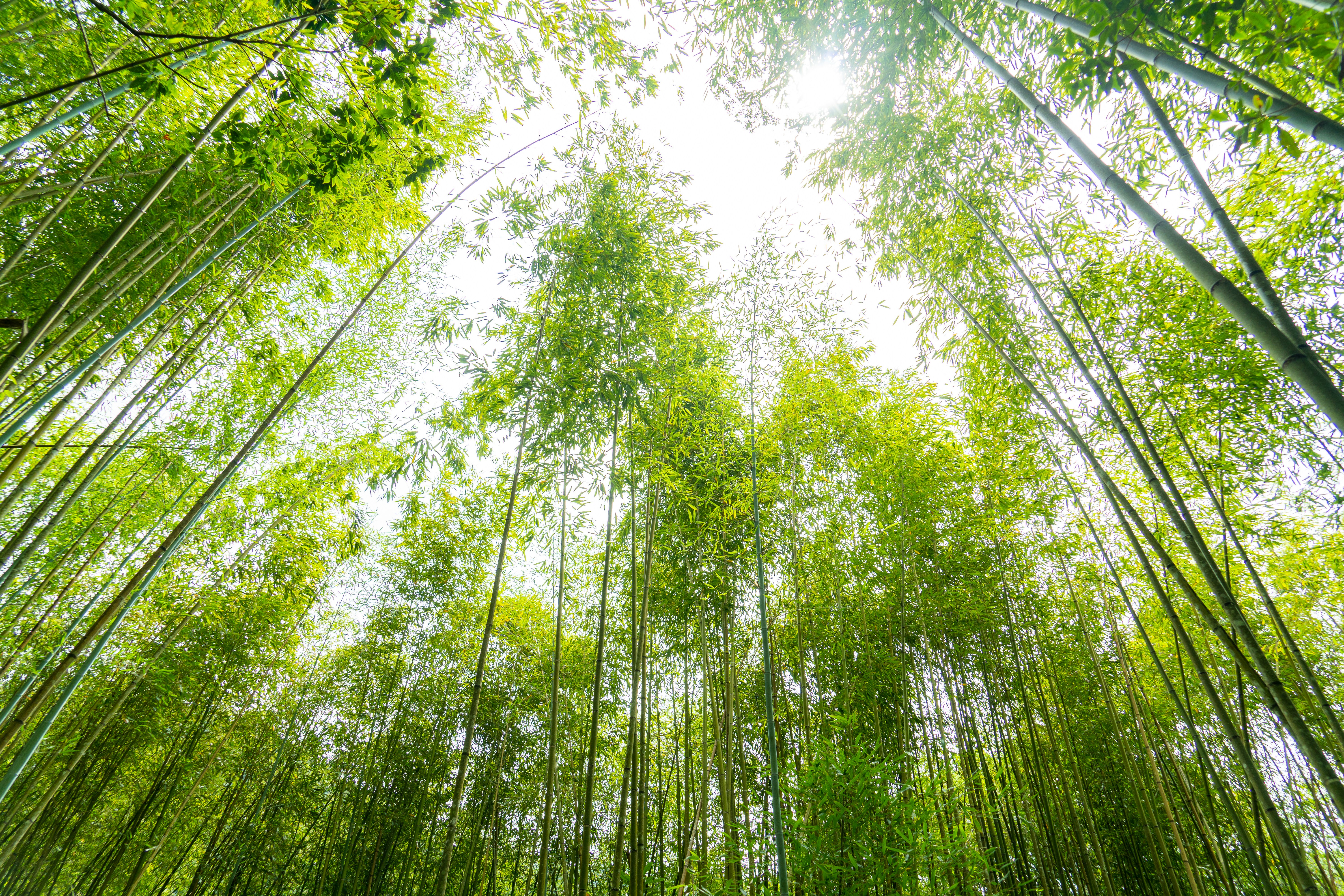 Photo by winstonchen