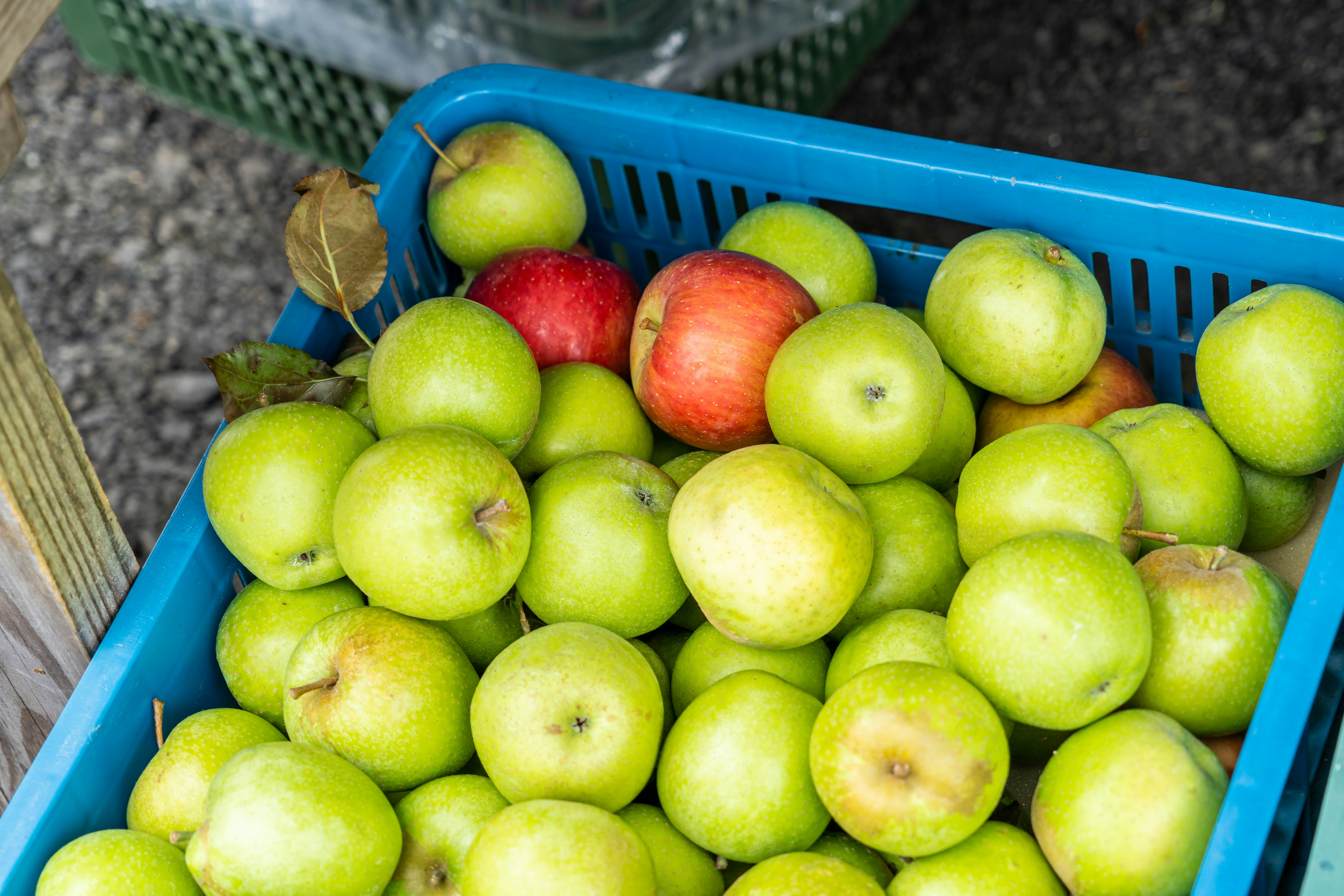 Photo by winstonchen