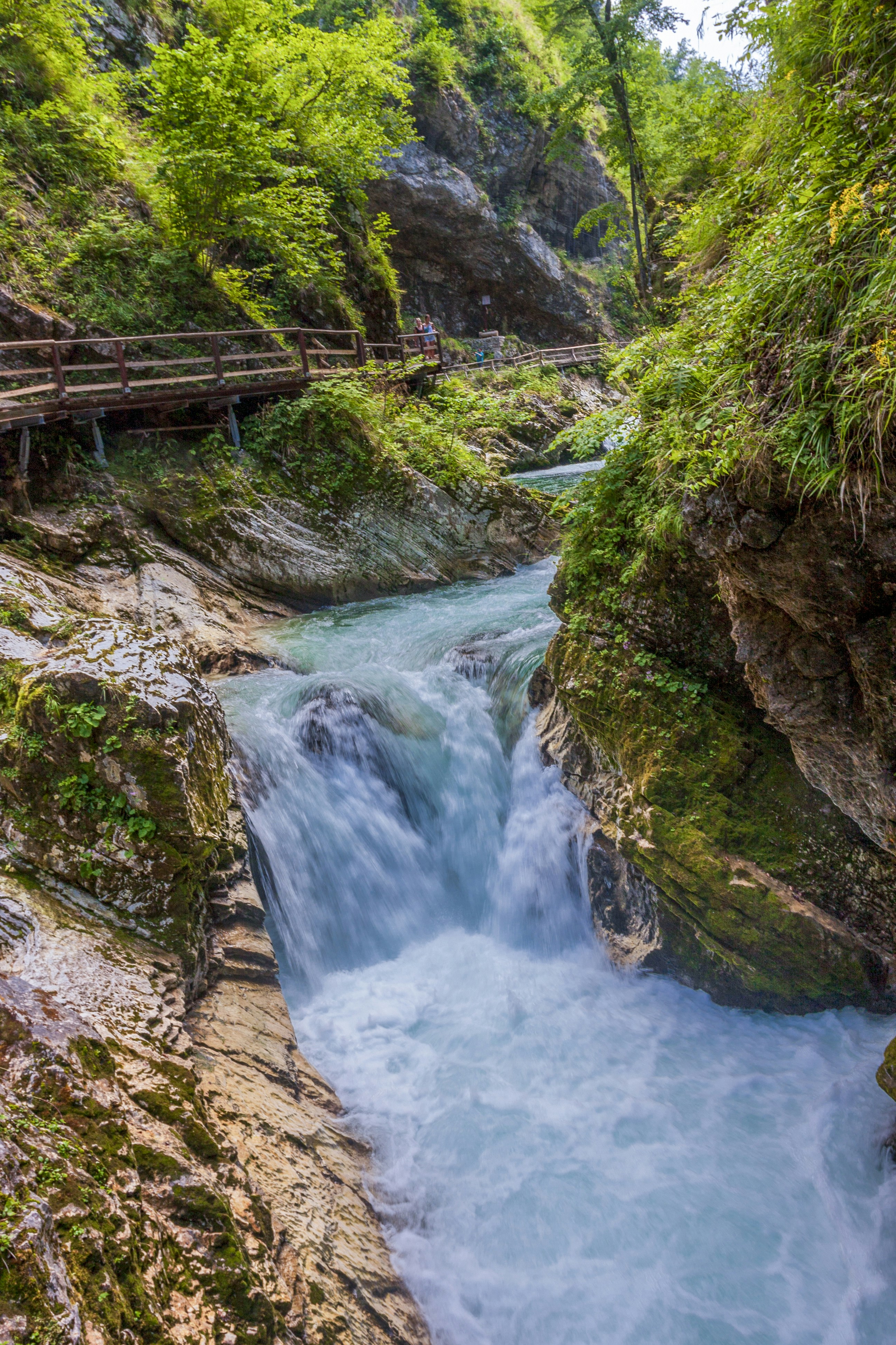 Photo by eugene_kuznetsov