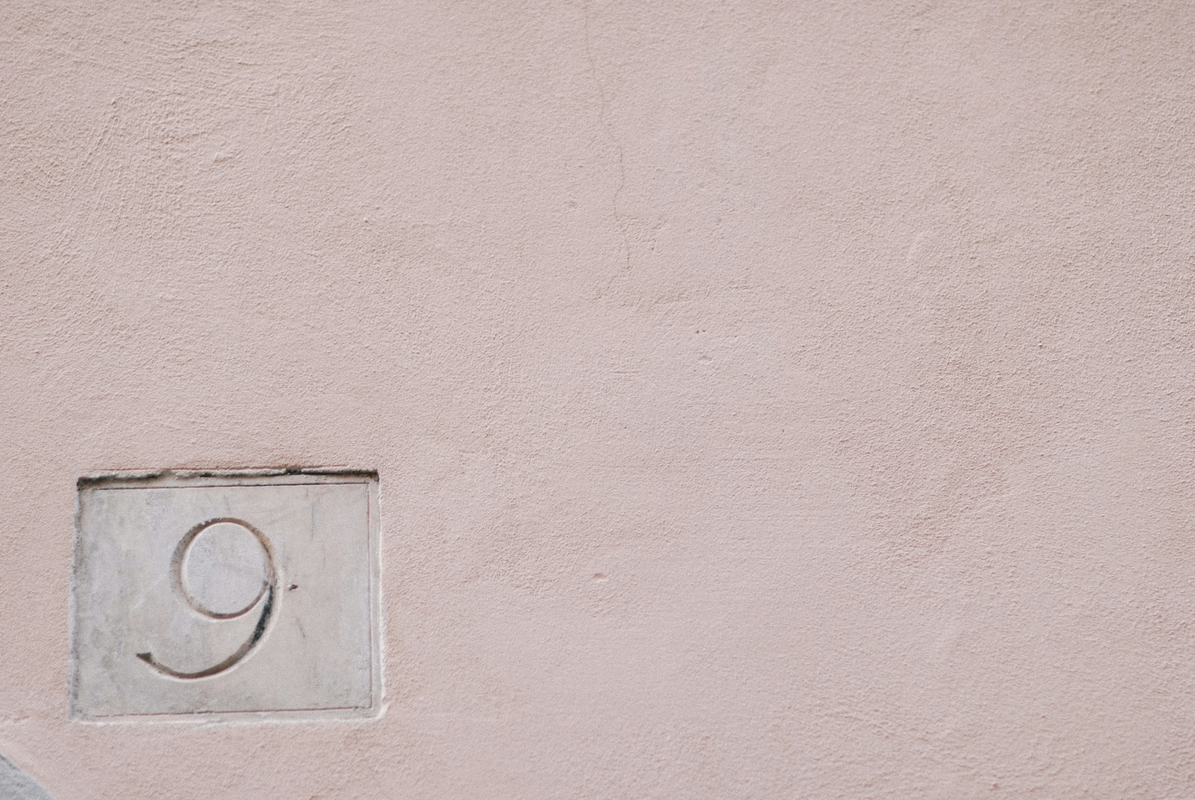 Photo by vonshnauzer