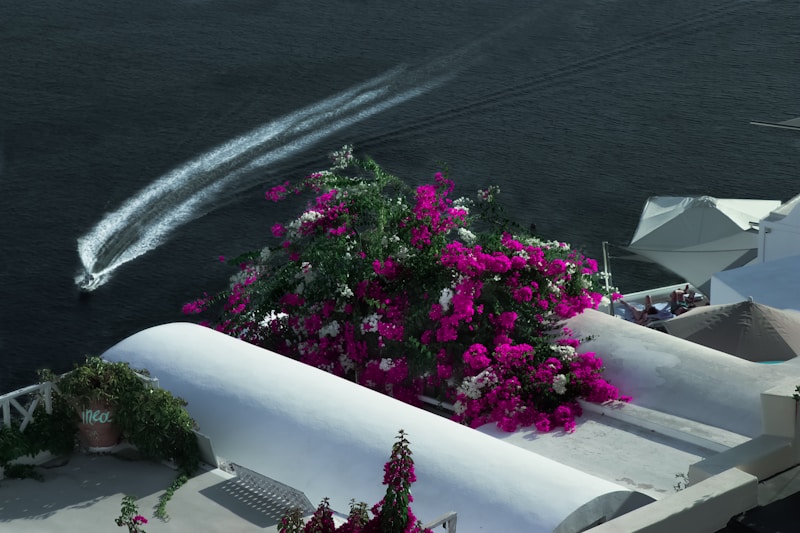 Floral charm in luxury setting