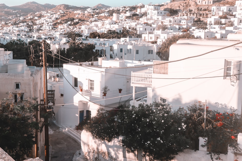 white concrete building near green trees during daytime