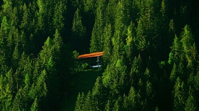 A cozy cabin nestled in the redwoods.