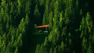 A cozy cabin nestled in the redwoods.