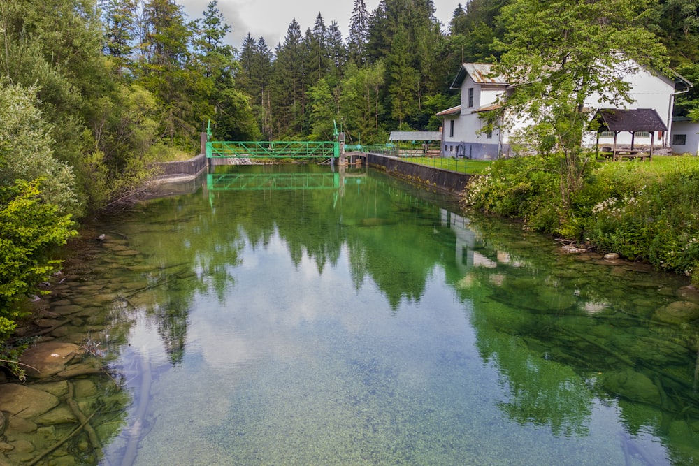 a body of water surrounded by trees and a bridge