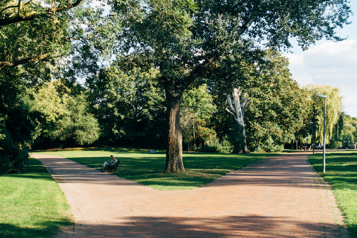 A calm park path suitable for paced outdoor walking on better air-quality days