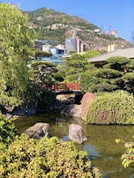 green trees near river during daytime