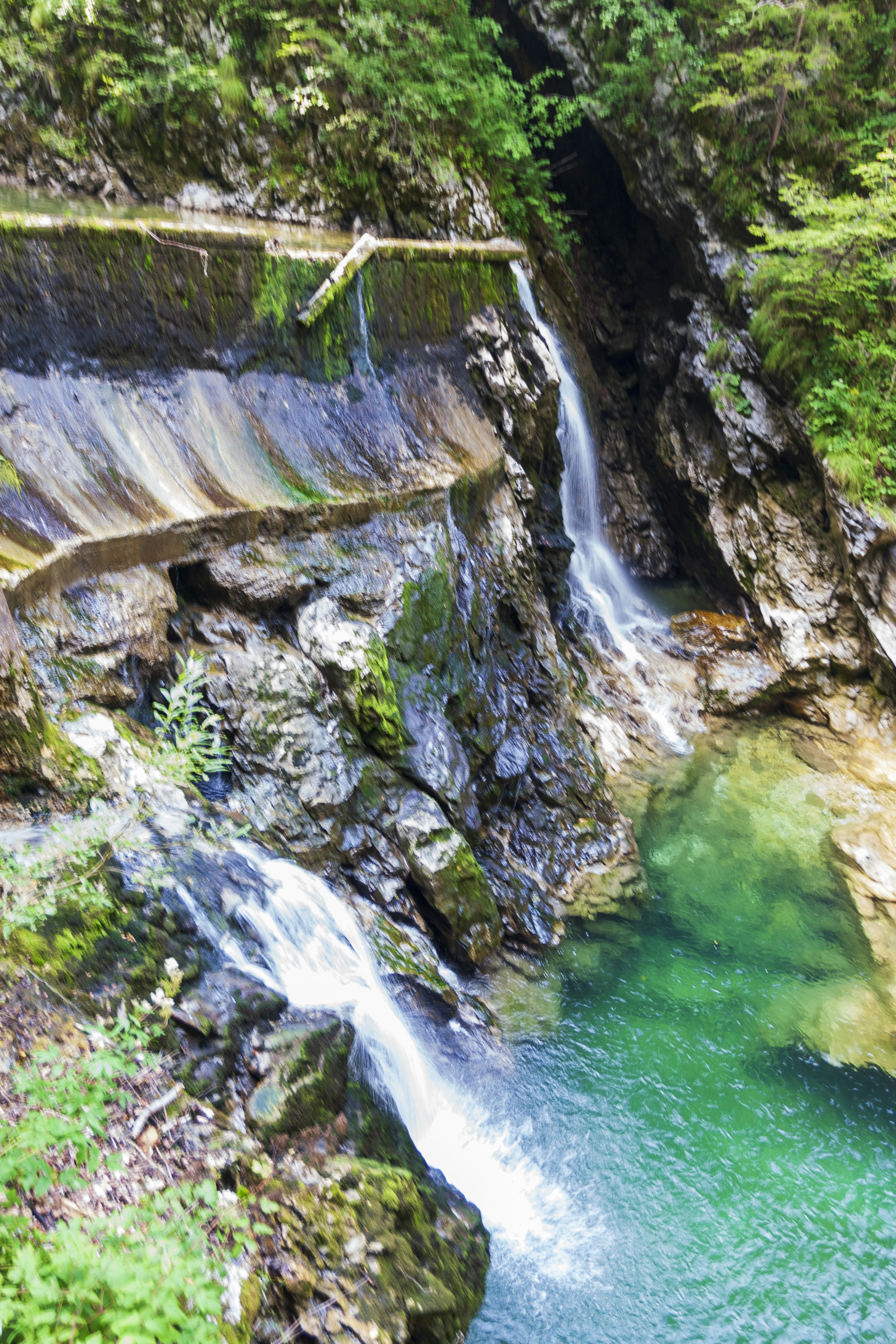 Photo by eugene_kuznetsov