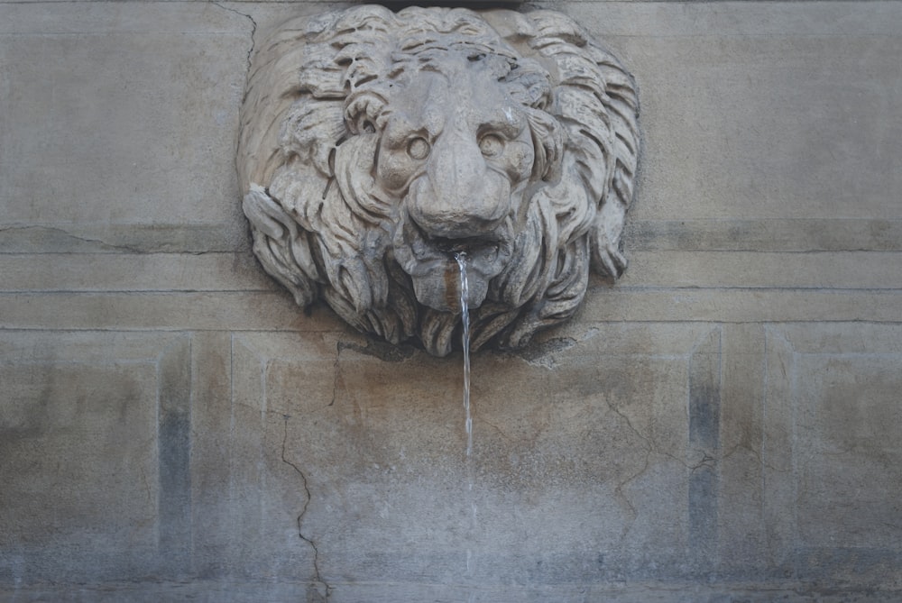 white concrete lion head bust