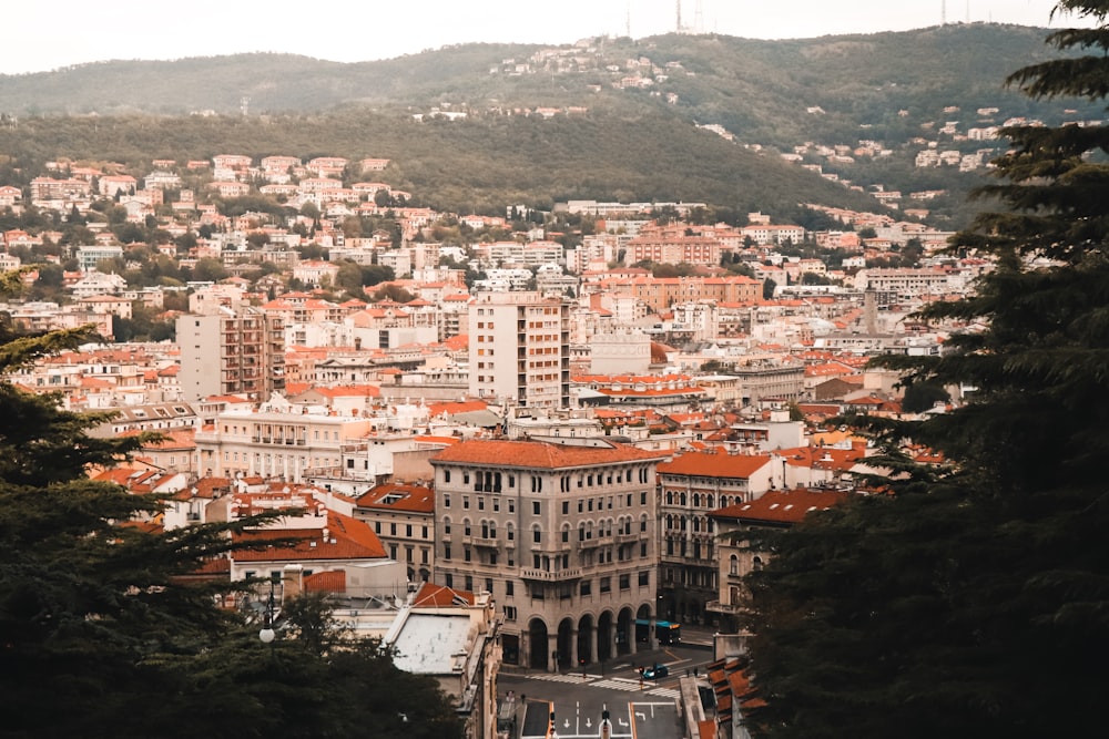 Veduta aerea degli edifici della città durante il giorno