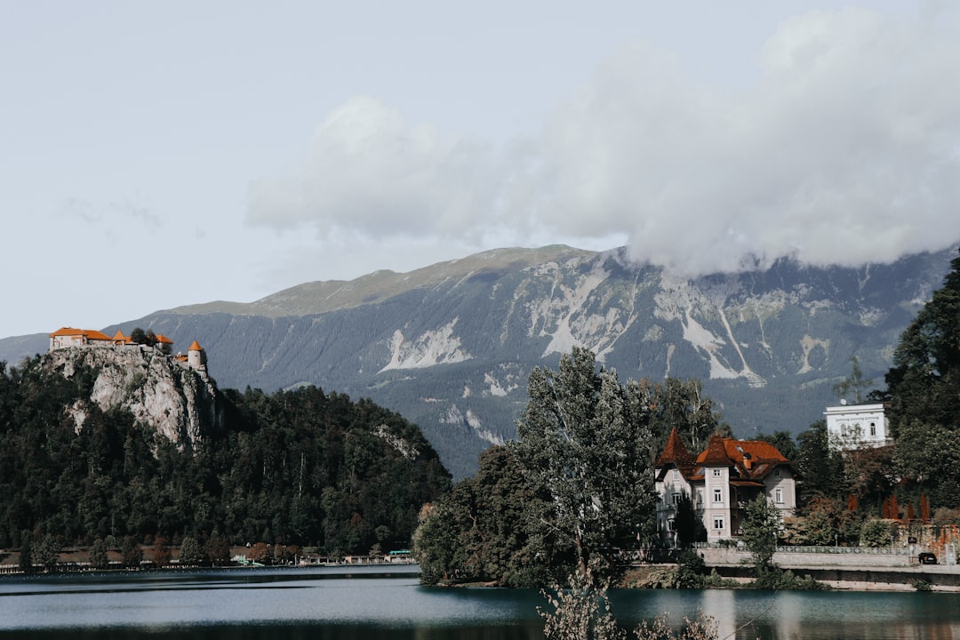 white and brown house near green trees and mountain during daytime