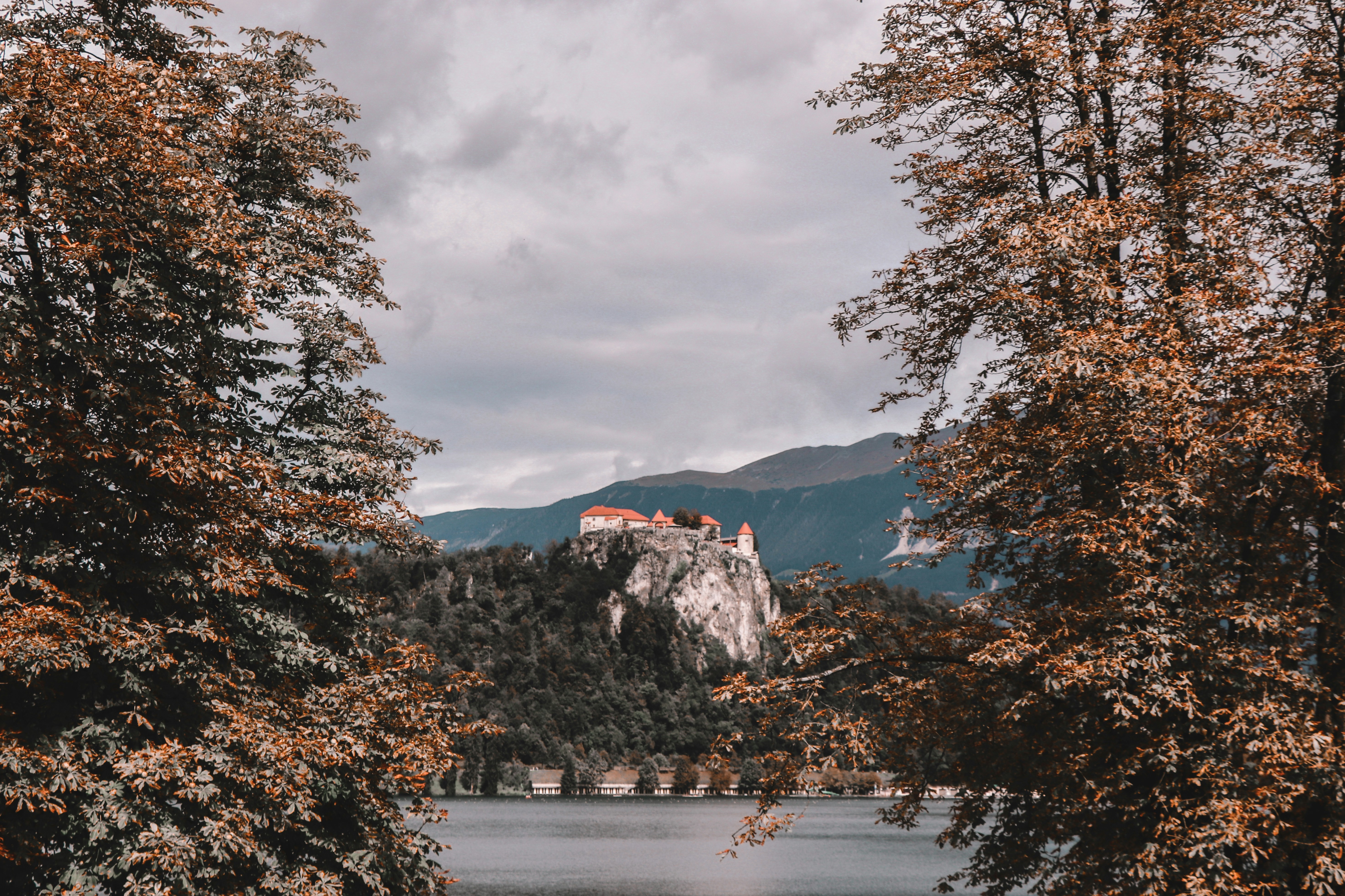 Photo by liferondeau