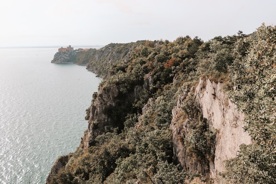 Cliff photo spot Trieste Duino