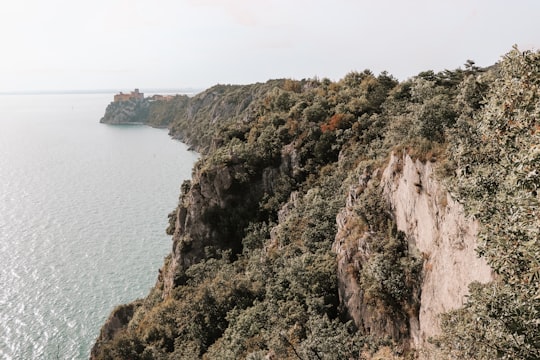 brown and green rocky mountain beside body of water during daytime in Sentiero Rilke Italy