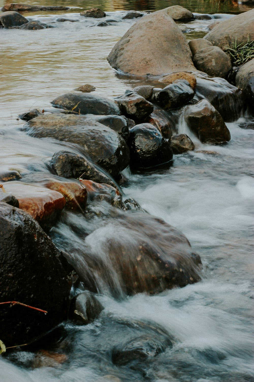 black and brown stones on water