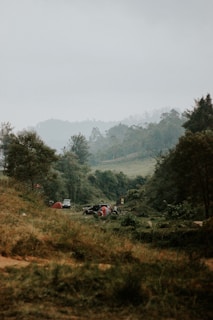 A serene landscape with lush greenery and hills shrouded in mist in the background. A campsite with a tent and parked vehicles is nestled amidst the trees, creating a tranquil outdoor setting.