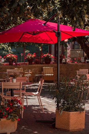 Outdoor seating area of a restaurant with red umbrellas and green plants.