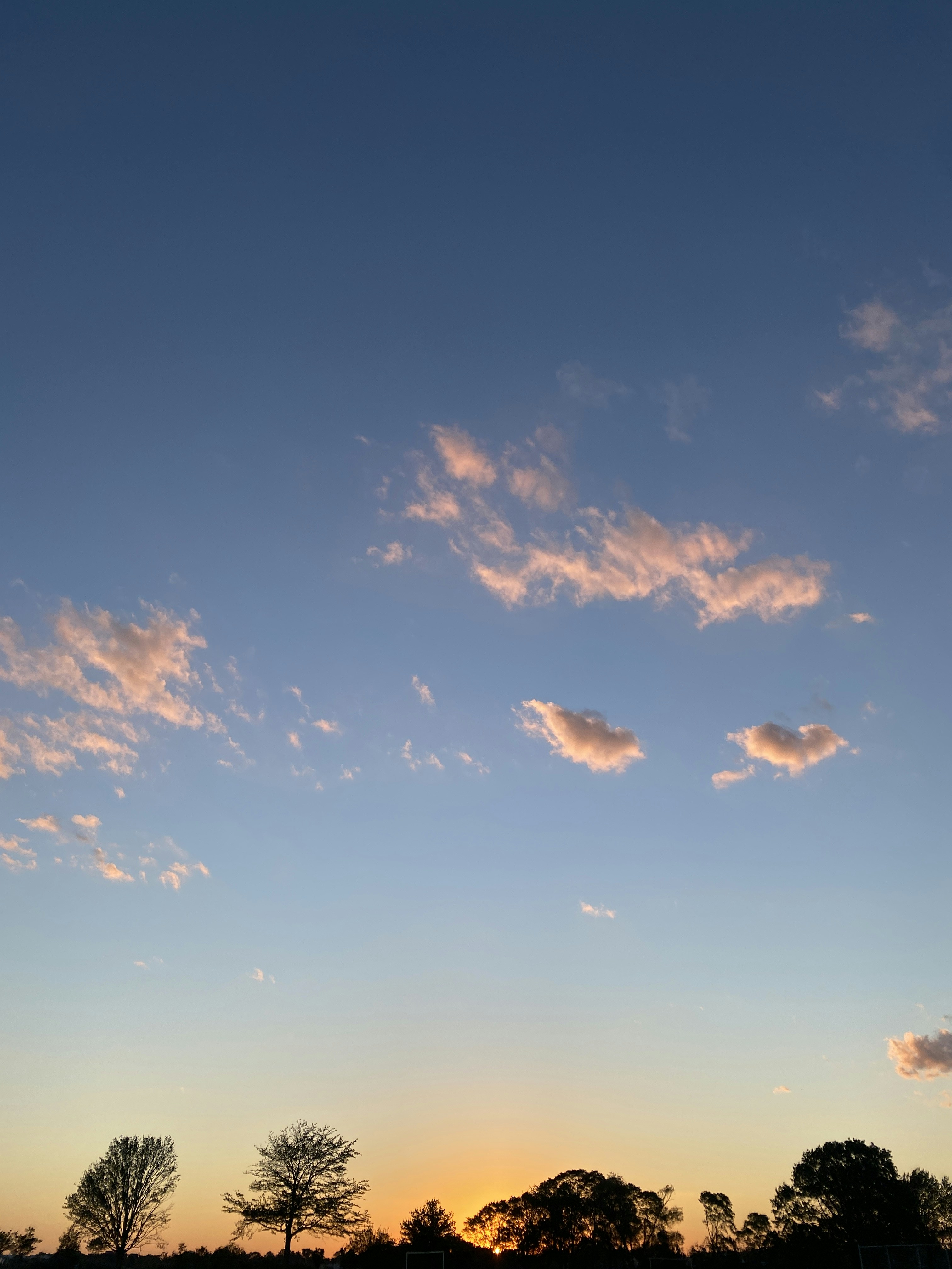 Photo by brianasarejr