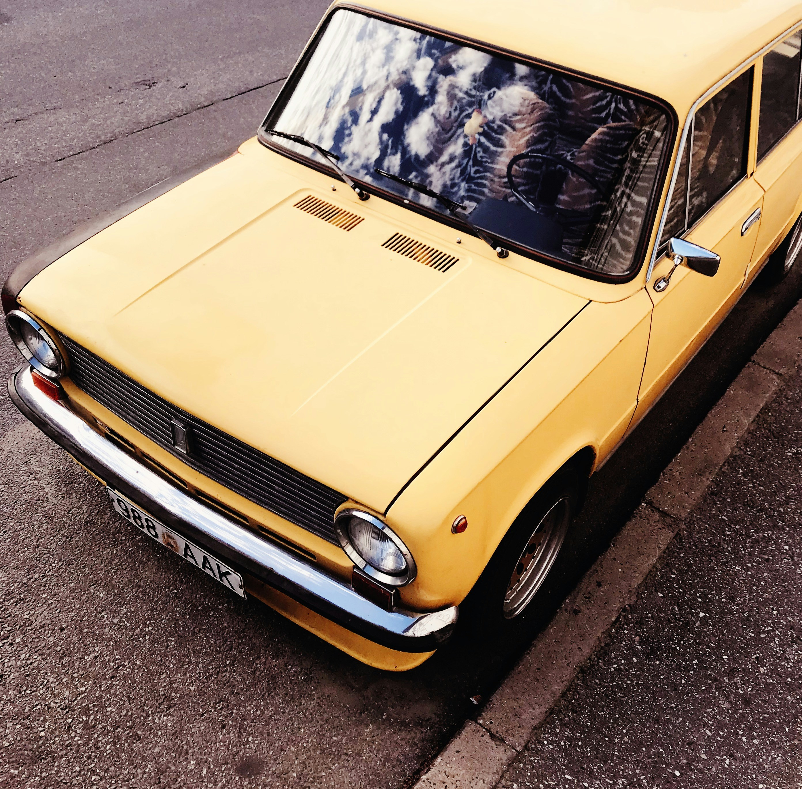 Photo by matheusfrade