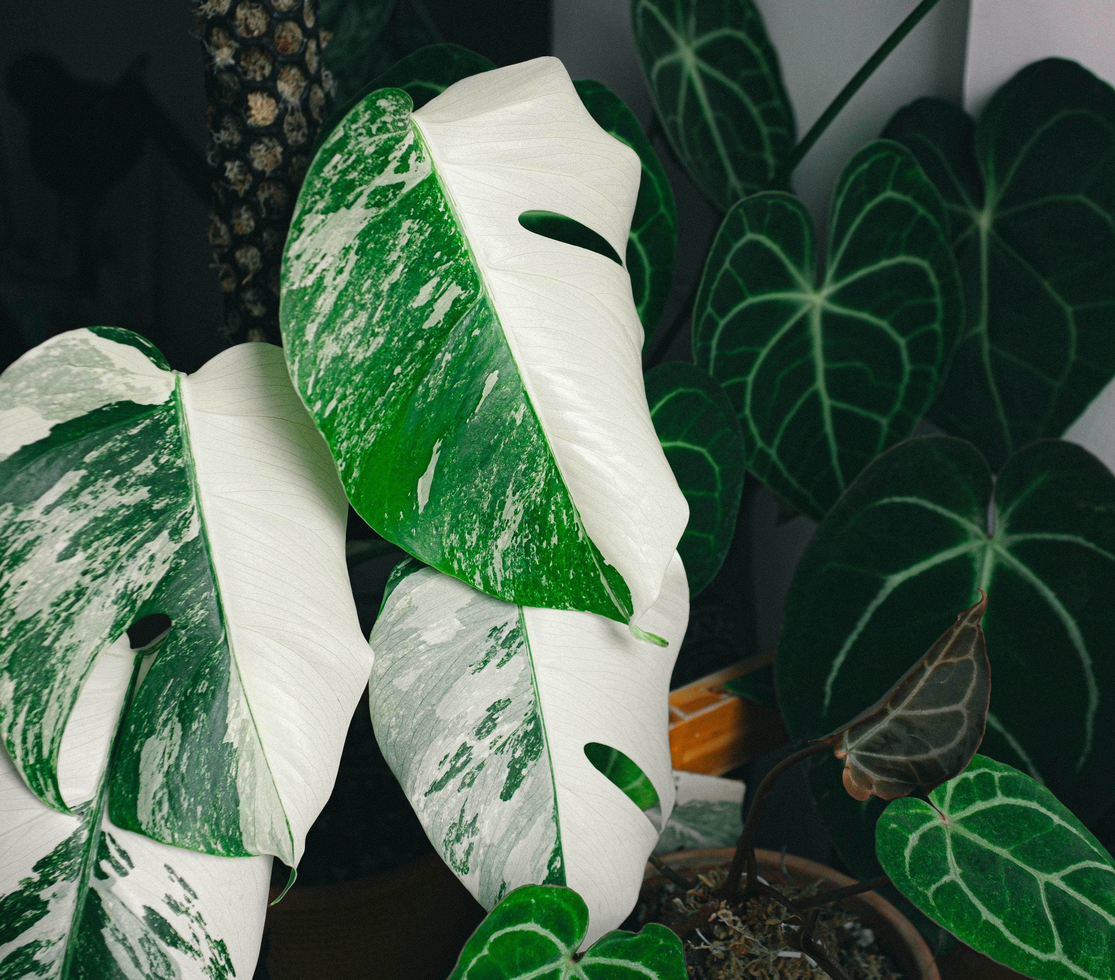 Photo by huyphan2602