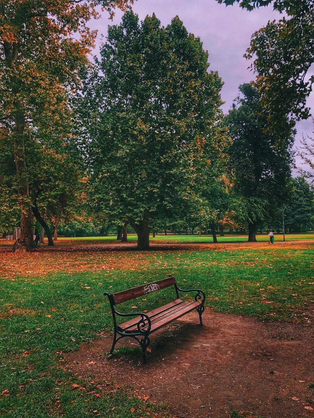 brown wooden bench on green grass field surrounded by green trees during daytime