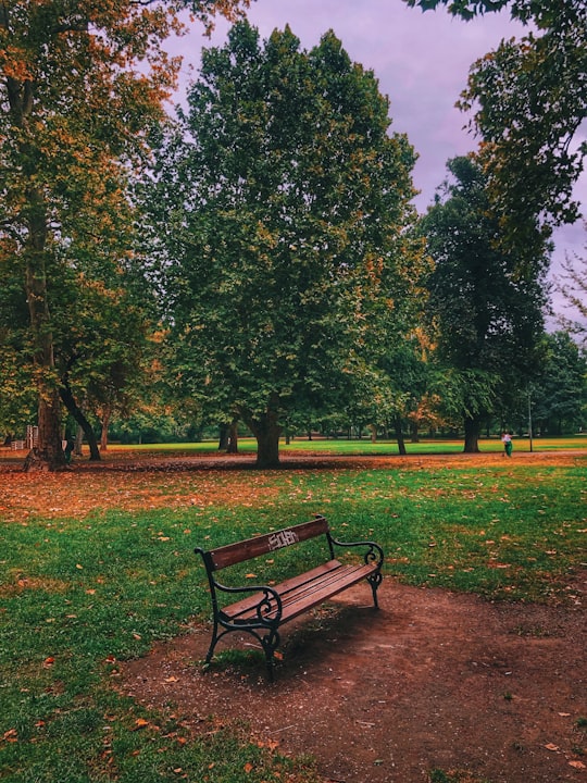 brown wooden bench on green grass field surrounded by green trees during daytime in Városliget Hungary