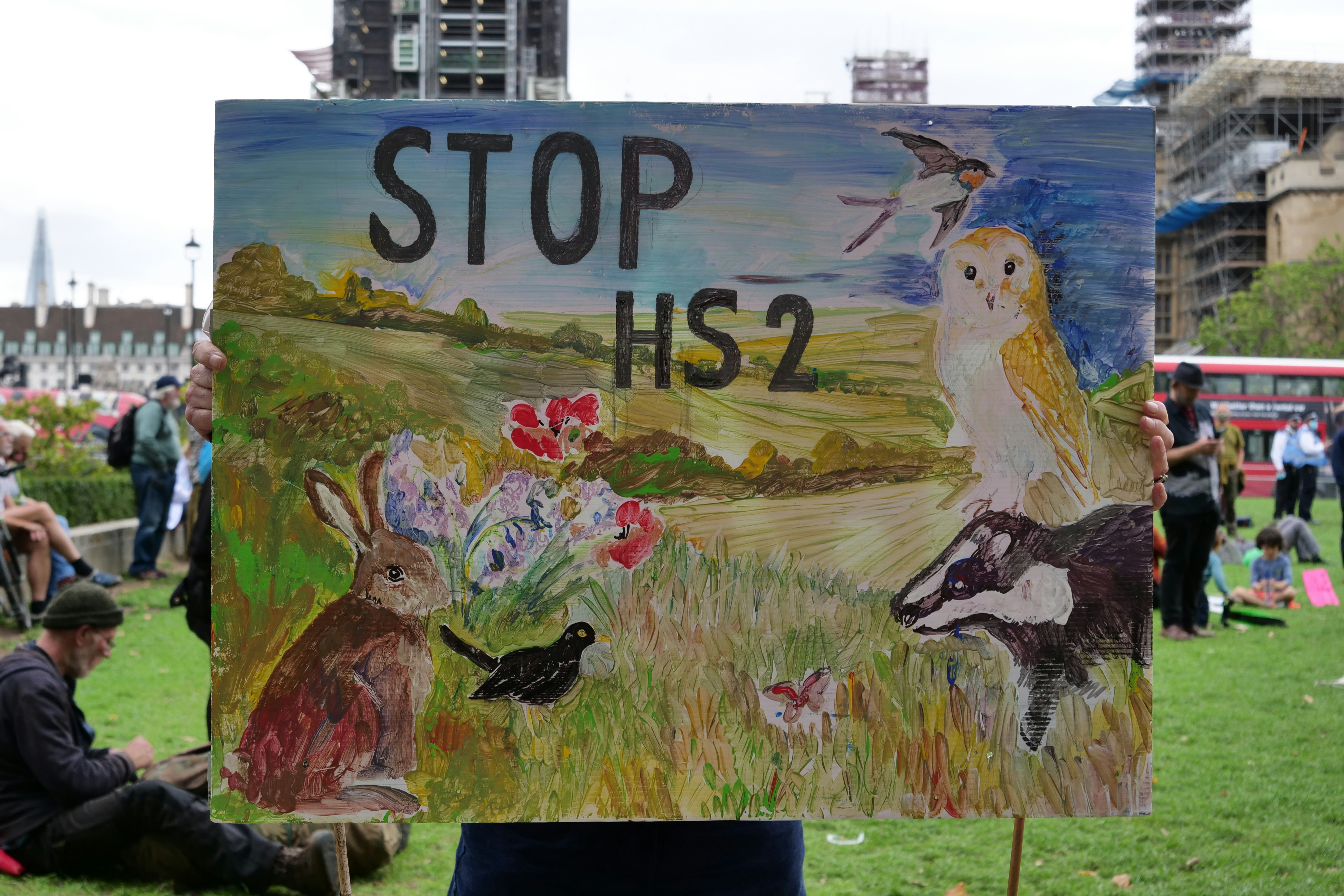 pájaro blanco y negro en letreros de madera negra