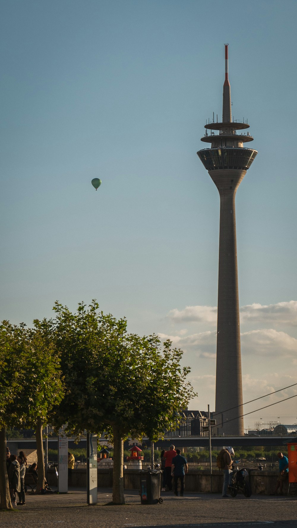 árvores verdes sob o céu azul durante o dia