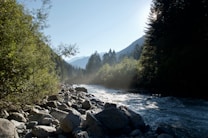 A tranquil mountain river flows through a lush forest, bordered by rocks and pebbles. Sunlight filters through the trees, creating a play of light and shadow. Tall trees and distant mountains frame the scene under a clear blue sky.