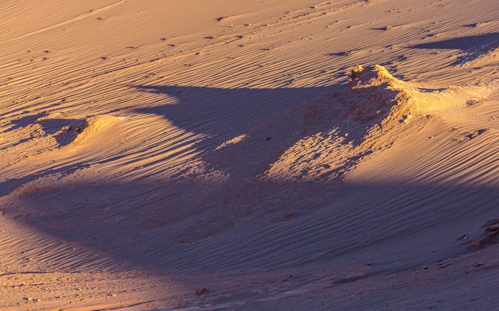 brown sand with brown sand