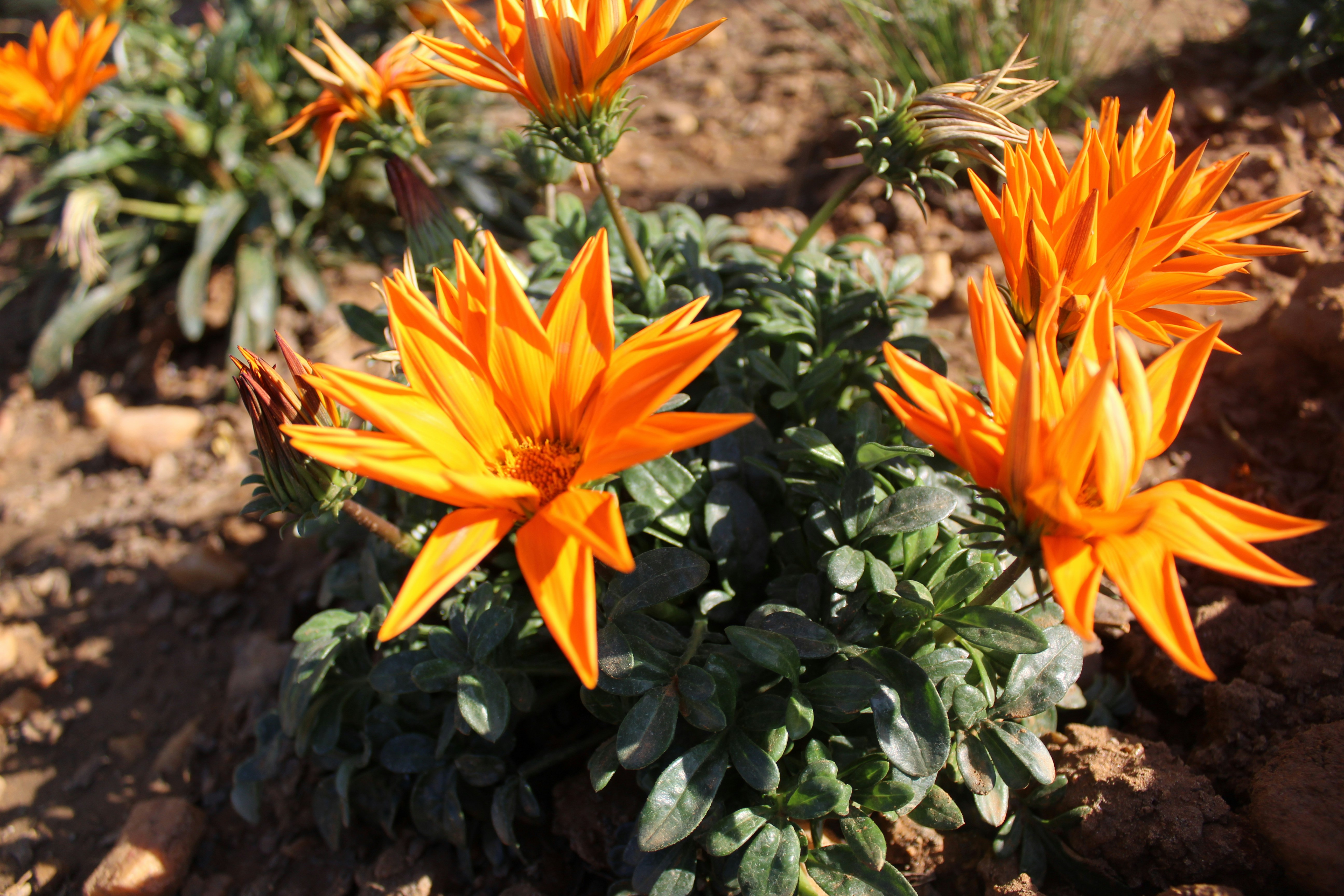 Photo by beastviewvisuals