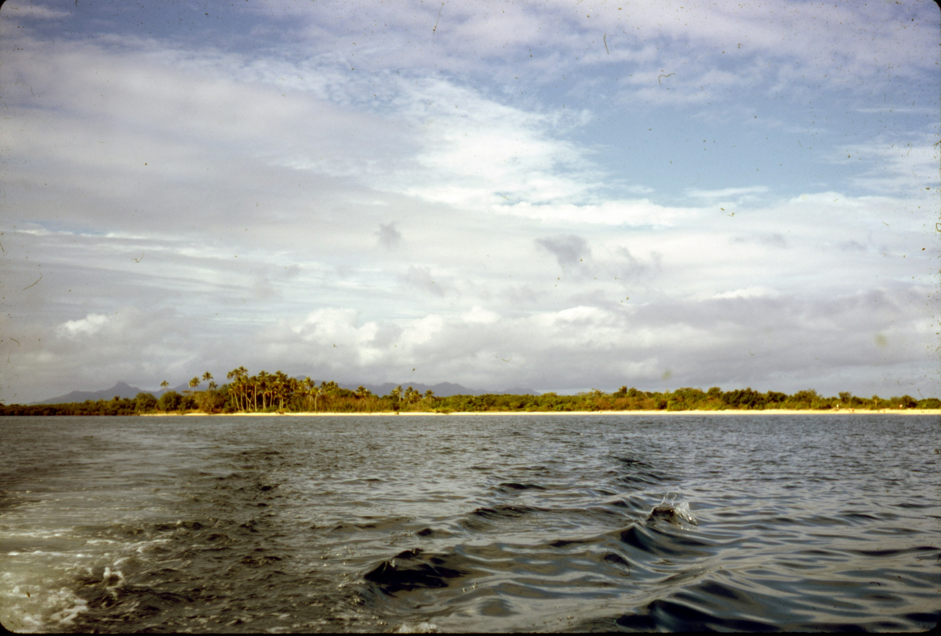 Photo by brett_jordan