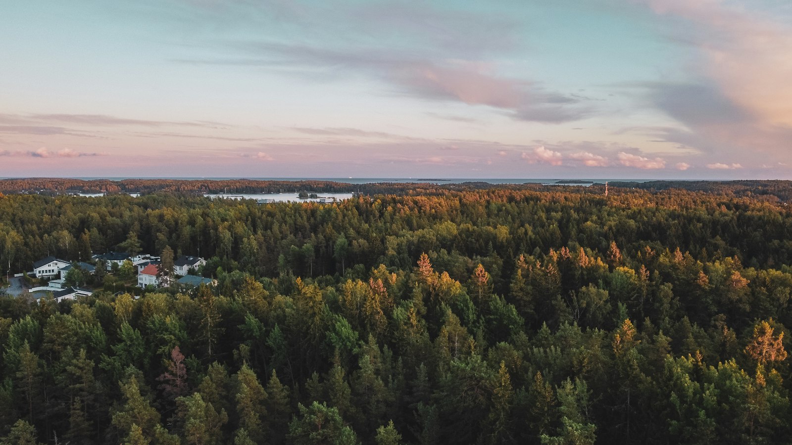 Aarno Ruusuvuori's home