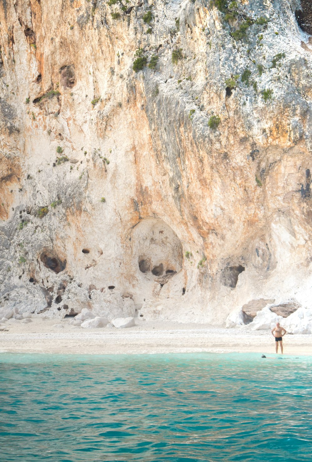 people on beach during daytime