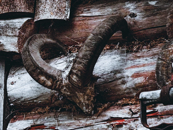 Close-up of a polished drinking horn with intricate Viking carvings set against a rustic wooden table.