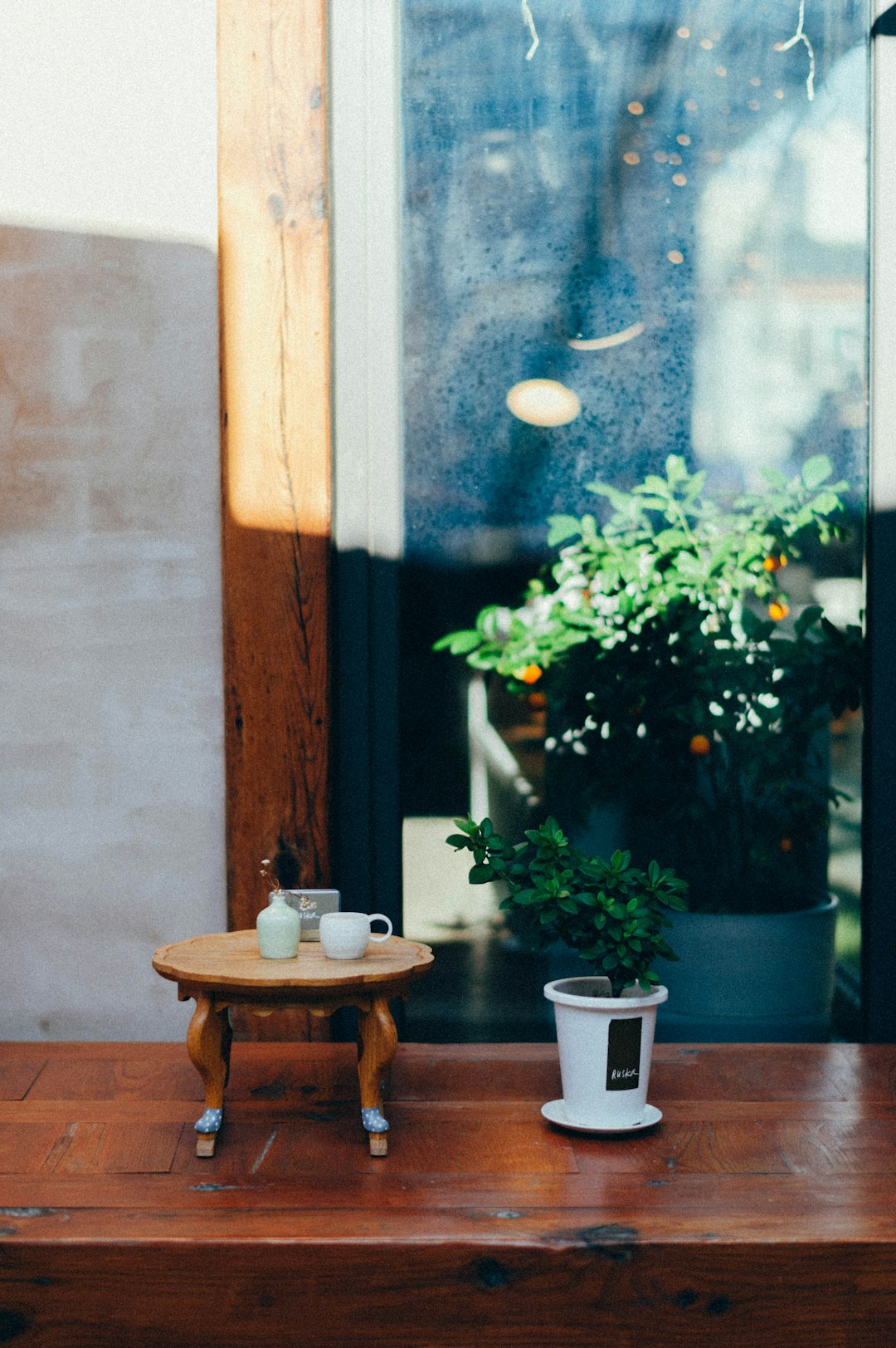 green plant on brown wooden table