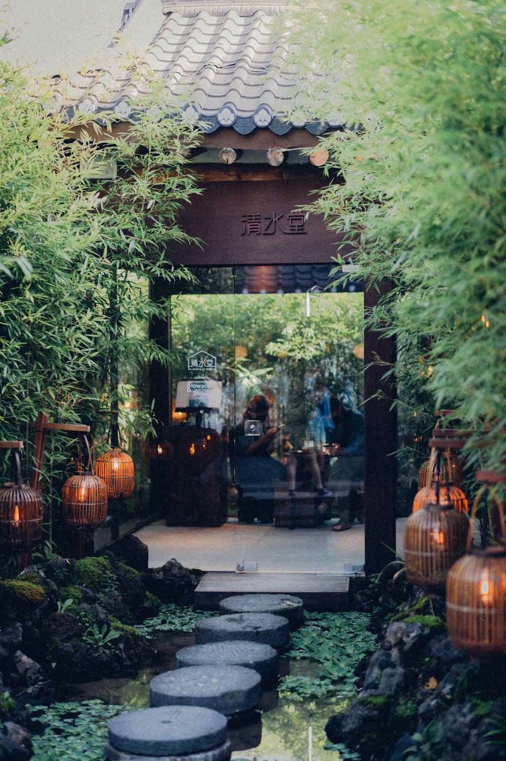 green plants near brown wooden house