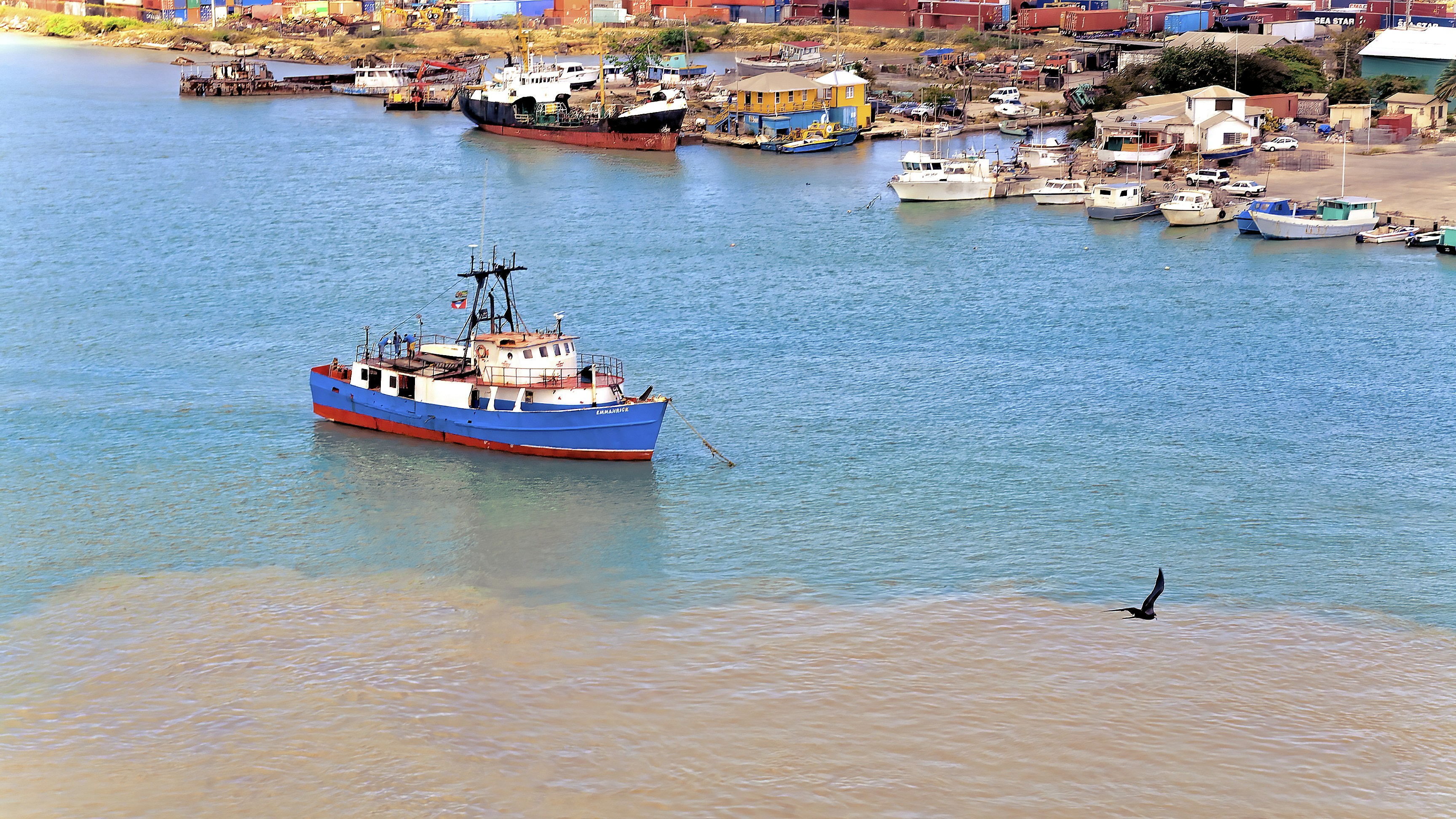 blue and white boat on sea during daytime