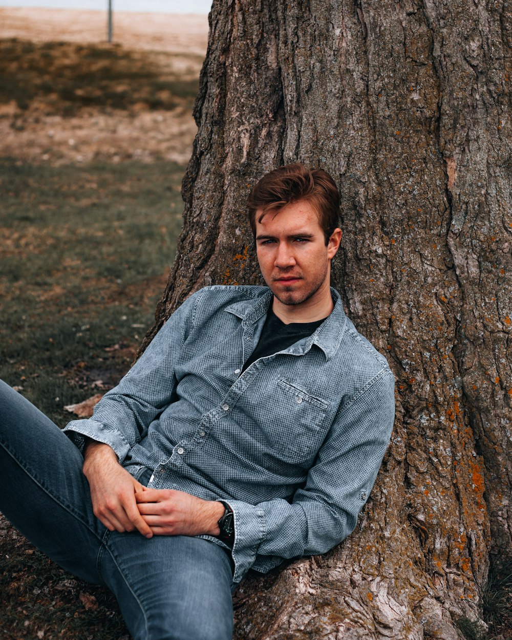 man in gray dress shirt and blue denim jeans sitting on tree