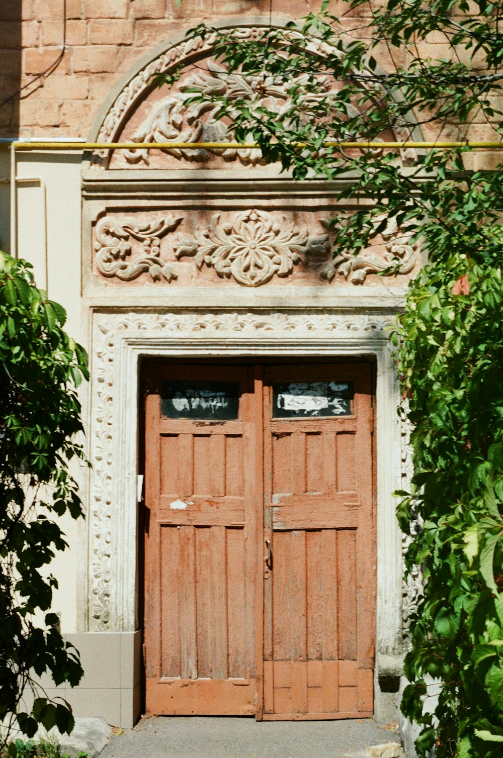 brown wooden door with green plants