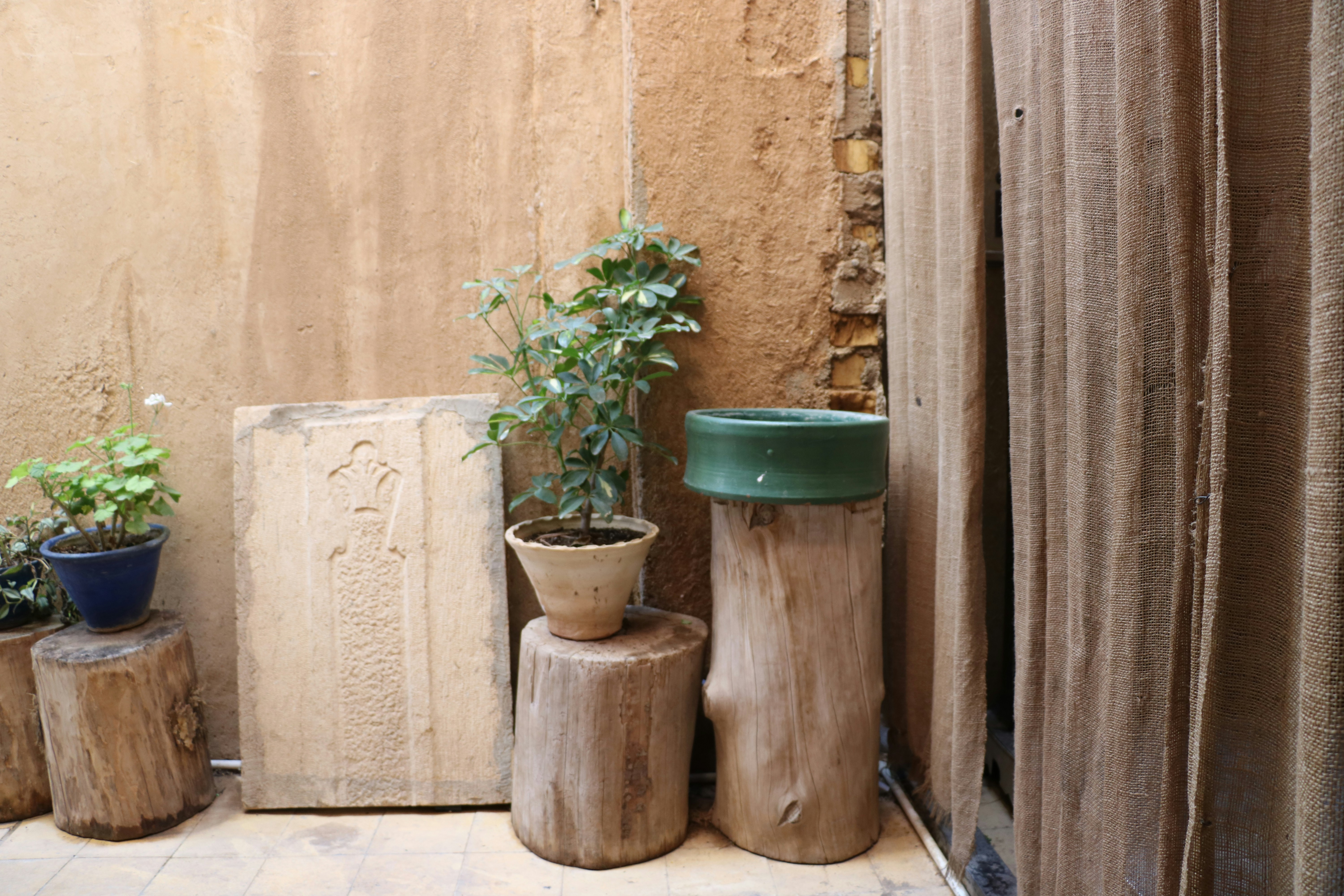 decor image